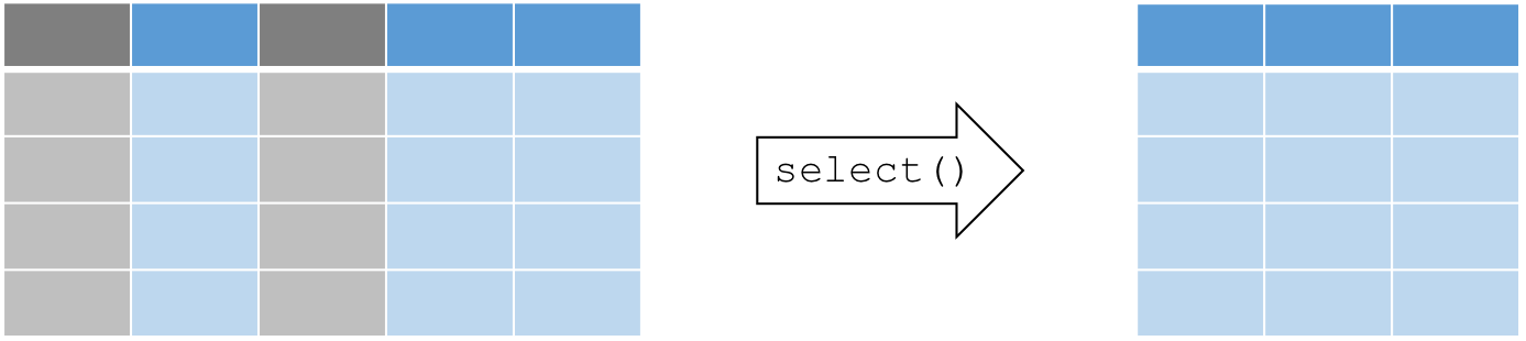 :scale 60%
