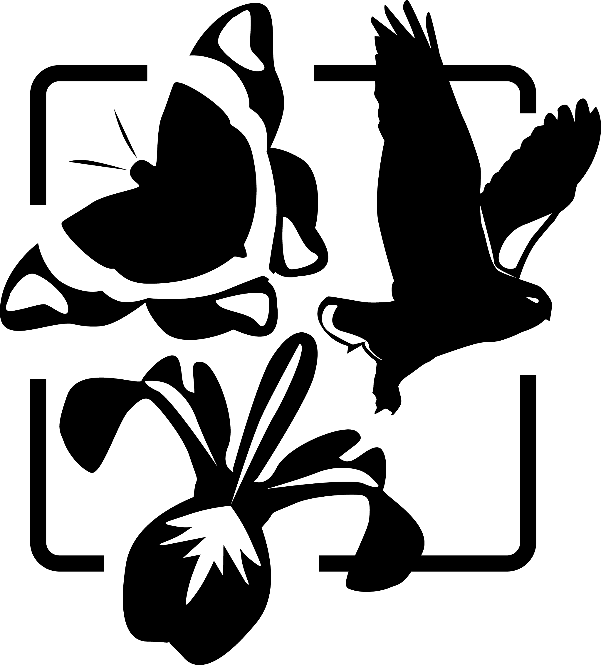 :scale 50%