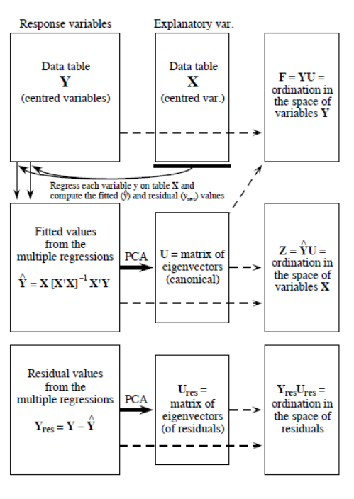 The computation process of an RDA, from Legendre & Legendre (2012).