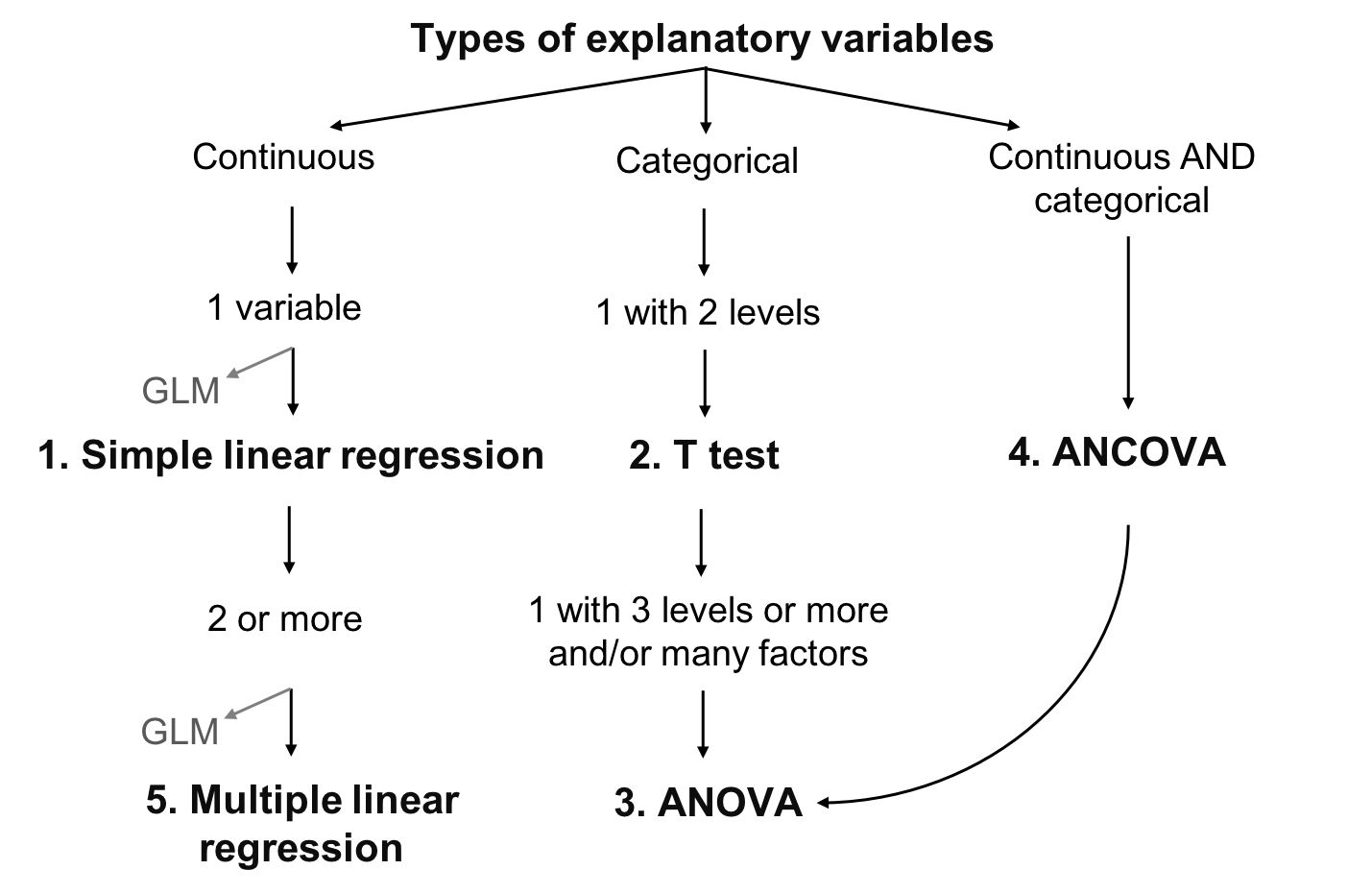 chapter-3-the-linear-model-workshop-4-linear-models