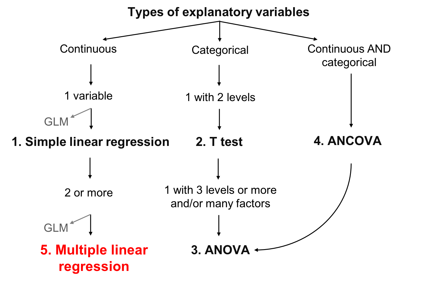 Chapter 7 Multiple Linear Regression Workshop 4 Linear Models