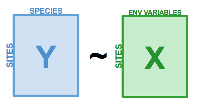 The basic structure of a redundancy analysis (RDA).