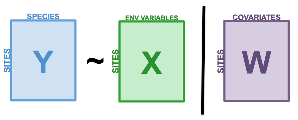 The basic structure of a redundancy analysis (RDA).